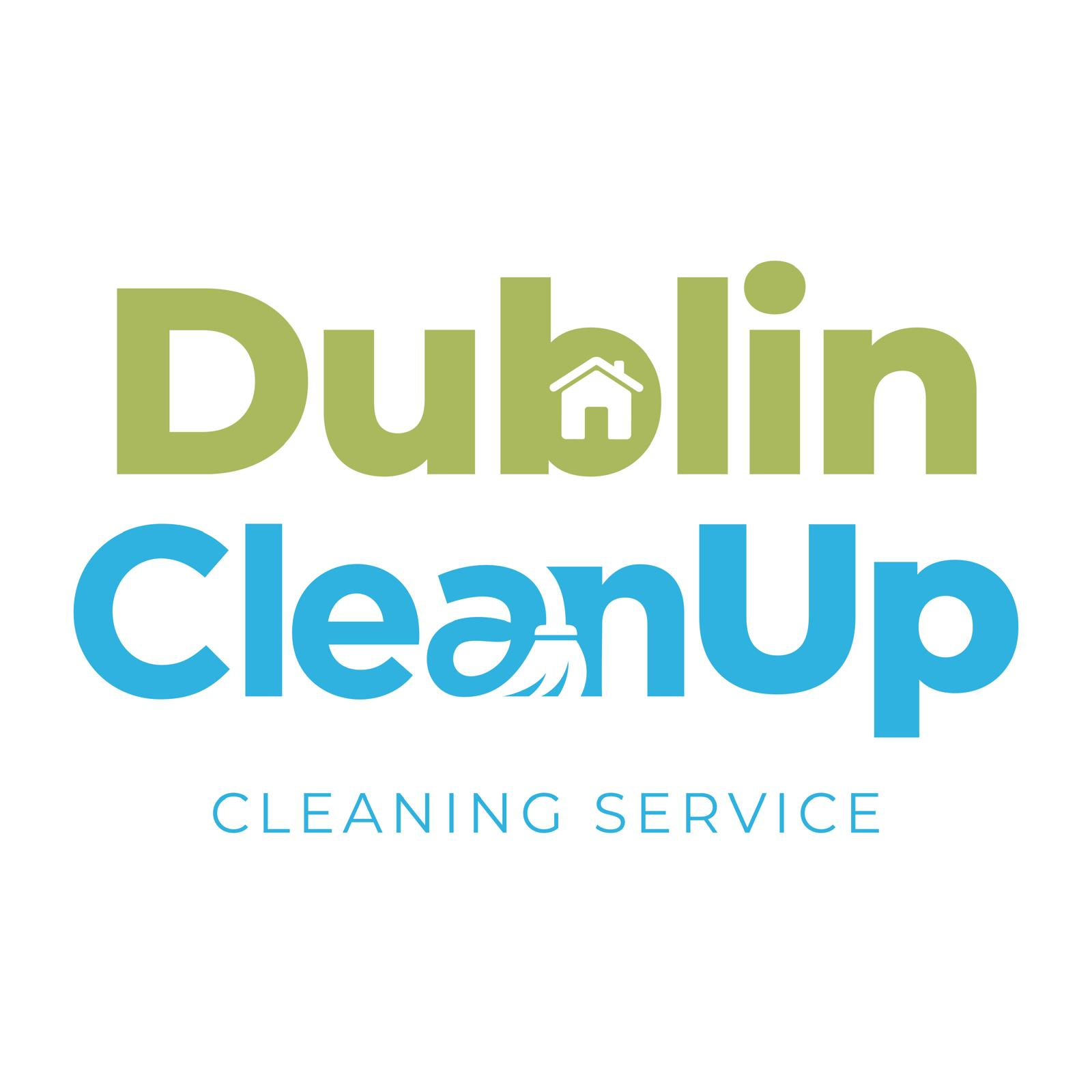 Professional cleaner at work